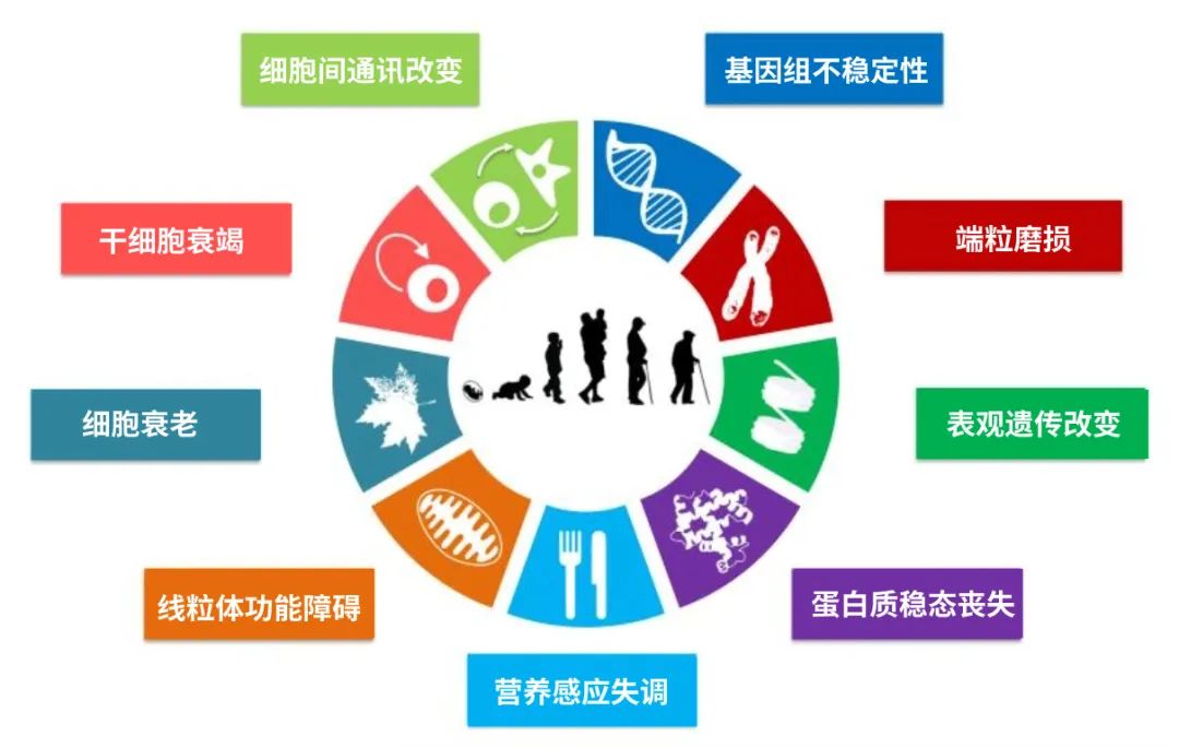 古特生物 圖片