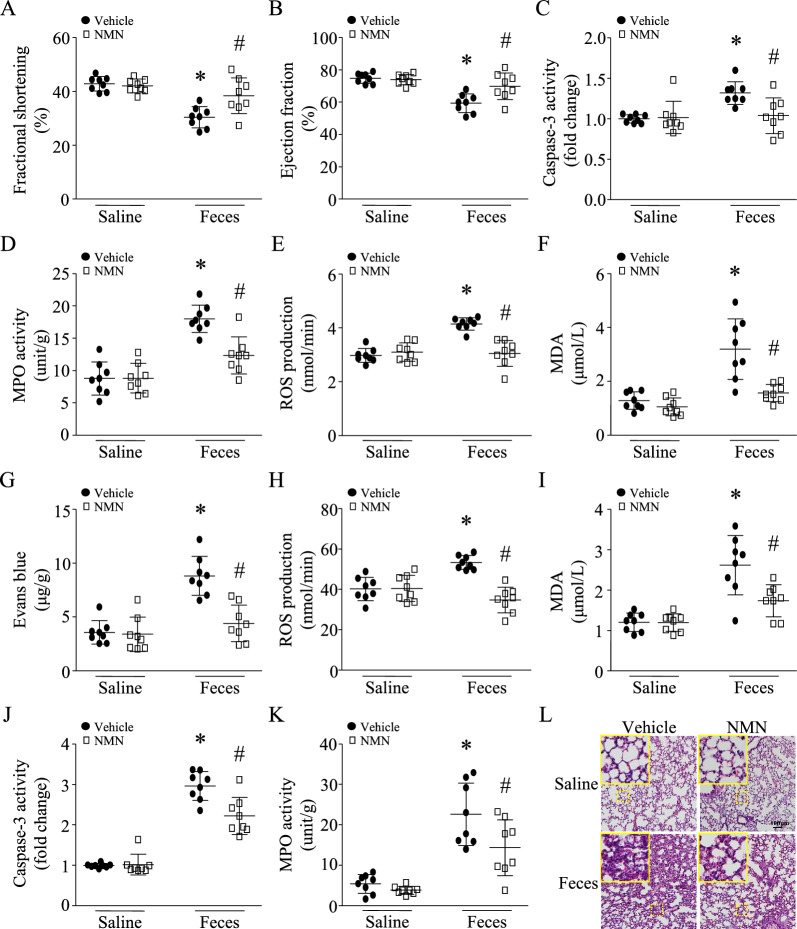 包含圖片、插圖等的外部文件。
對象名稱為 12967_2023_4767_Fig2_HTML.jpg