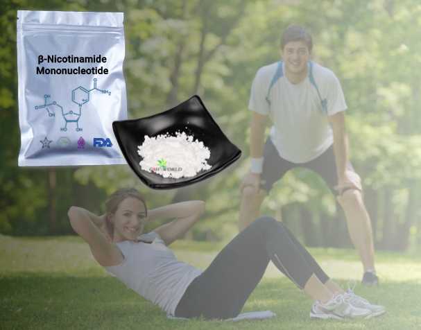 煙酰胺單核苷酸（NMN原料）