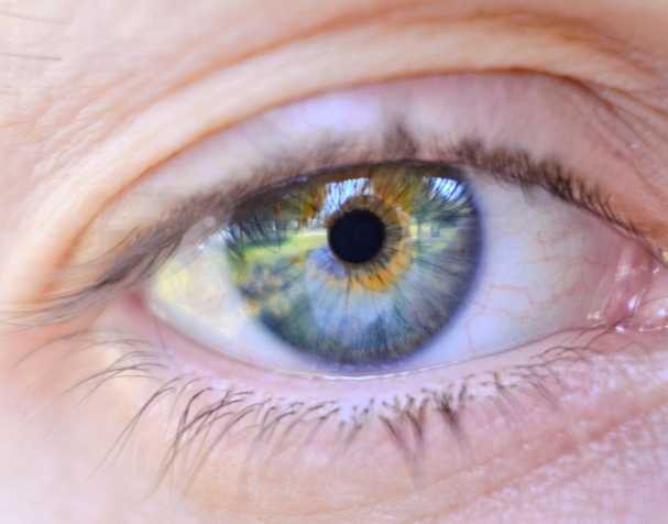 胞磷膽堿的作用機(jī)制