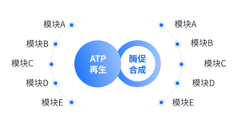 酶法生產(chǎn)應(yīng)用領(lǐng)域