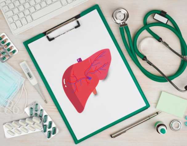 科學機理：肝內(nèi)自帶的解毒+抗氧化雙引擎