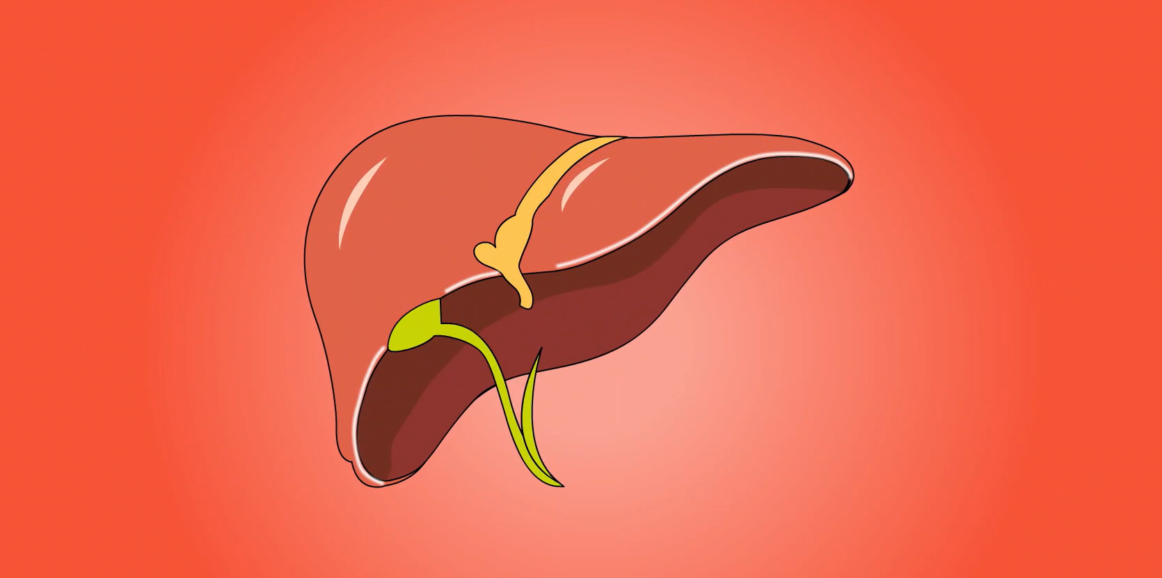 精準人群：4類肝高危群體的專屬守護方案