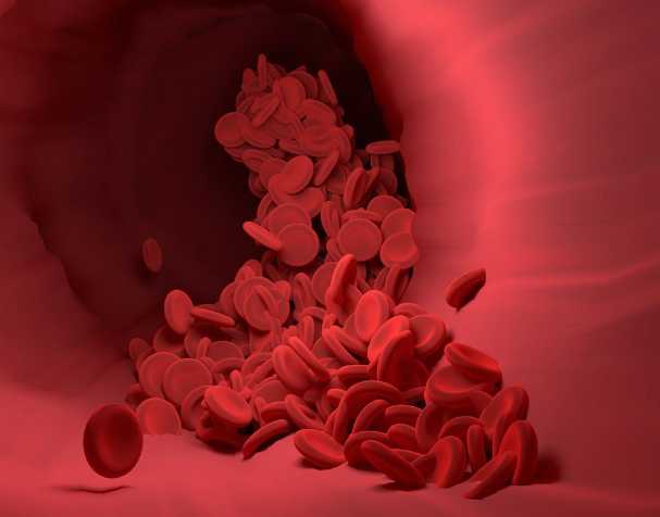 代謝吸收更具優(yōu)勢(shì)