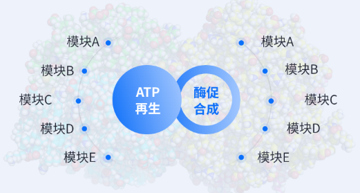 核心技術(shù)原理：突破酶促反應(yīng)能量瓶頸