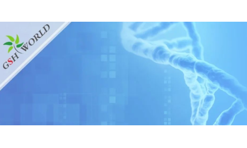 煙酰胺和nmn區(qū)別？煙酰胺單核苷酸(NMN) 的化合物