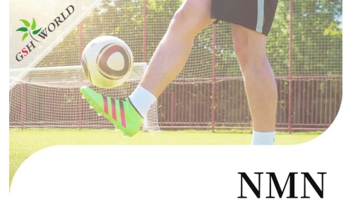 行業(yè)關(guān)注 - NMN對(duì)肌腱炎的抗氧化作用