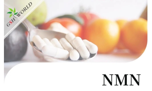 行業(yè)關(guān)注 - NMN潛在的抗衰老活性及其適用性