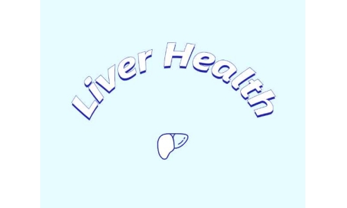 哪些原料可助力肝臟健康？