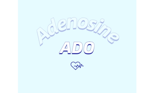 腺苷作為抗脫發(fā)外用制劑所發(fā)揮的作用