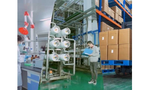 酶法催化賦能：古特生物技術創(chuàng)新與產業(yè)化實踐